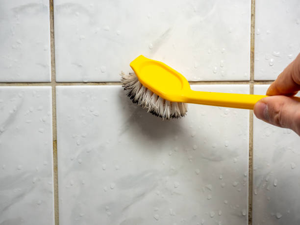 Best Office Mold Removal Services  in Redlands, CO