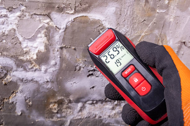Mold Testing and Removal in Redlands, CO