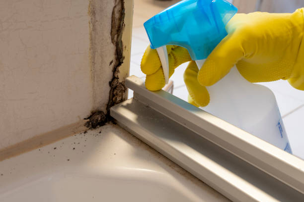 Best Mold Testing  in Redlands, CO