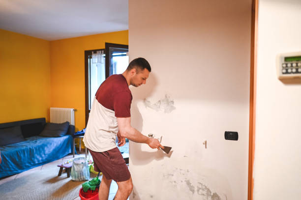 Best Affordable Mold Removal  in Redlands, CO
